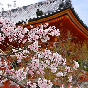 公寓式酒店 Sakura 祇園北