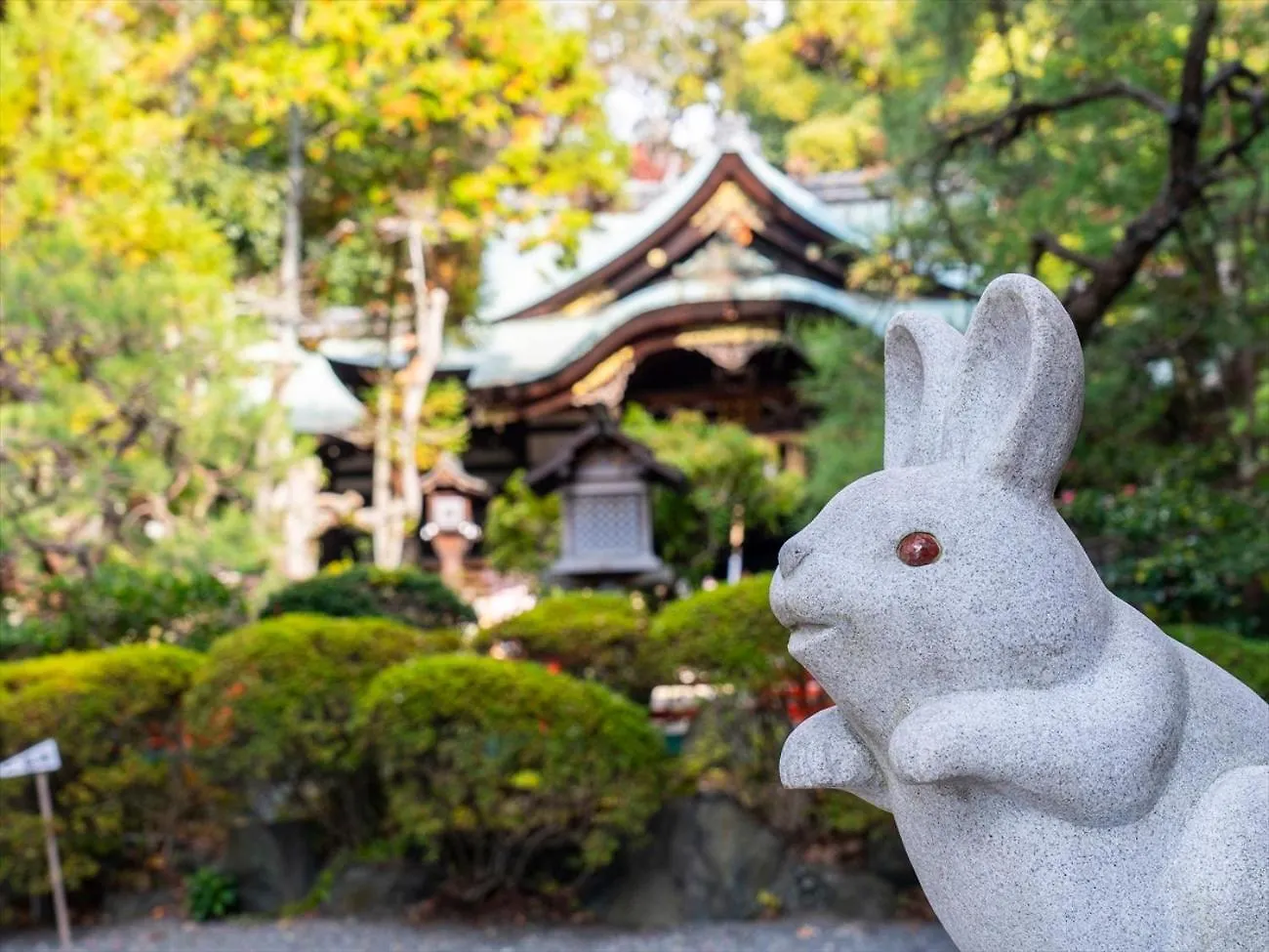 **  Hotel Giappo Franca Kioto Japón